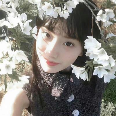 探案新窍门 第五季